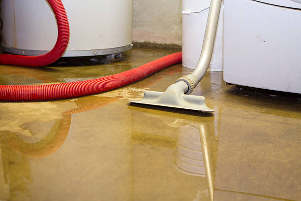 Best Emergency water damage restoration  in USA